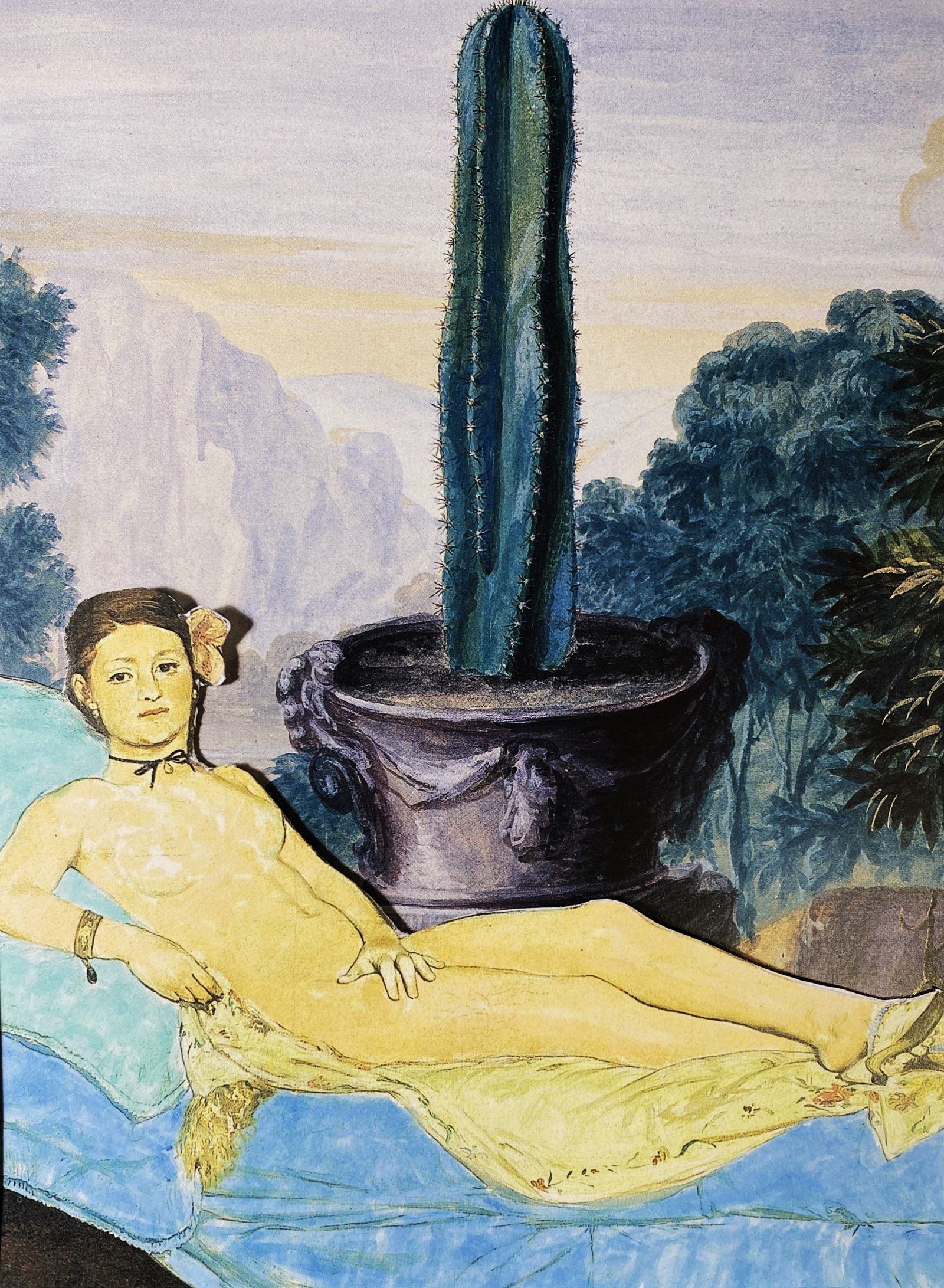 Cereus Minor